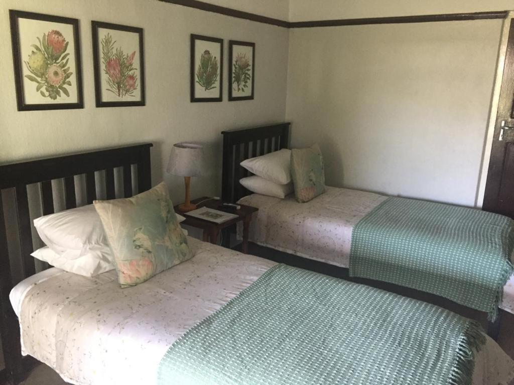 Beit Shalom Before Known As Best Little Guesthouse Oudtshoorn Buitenkant foto
